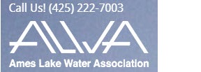 Ames Lake Water